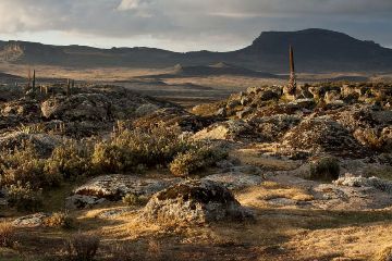 bale-mountains-and-omo-valley-8-days